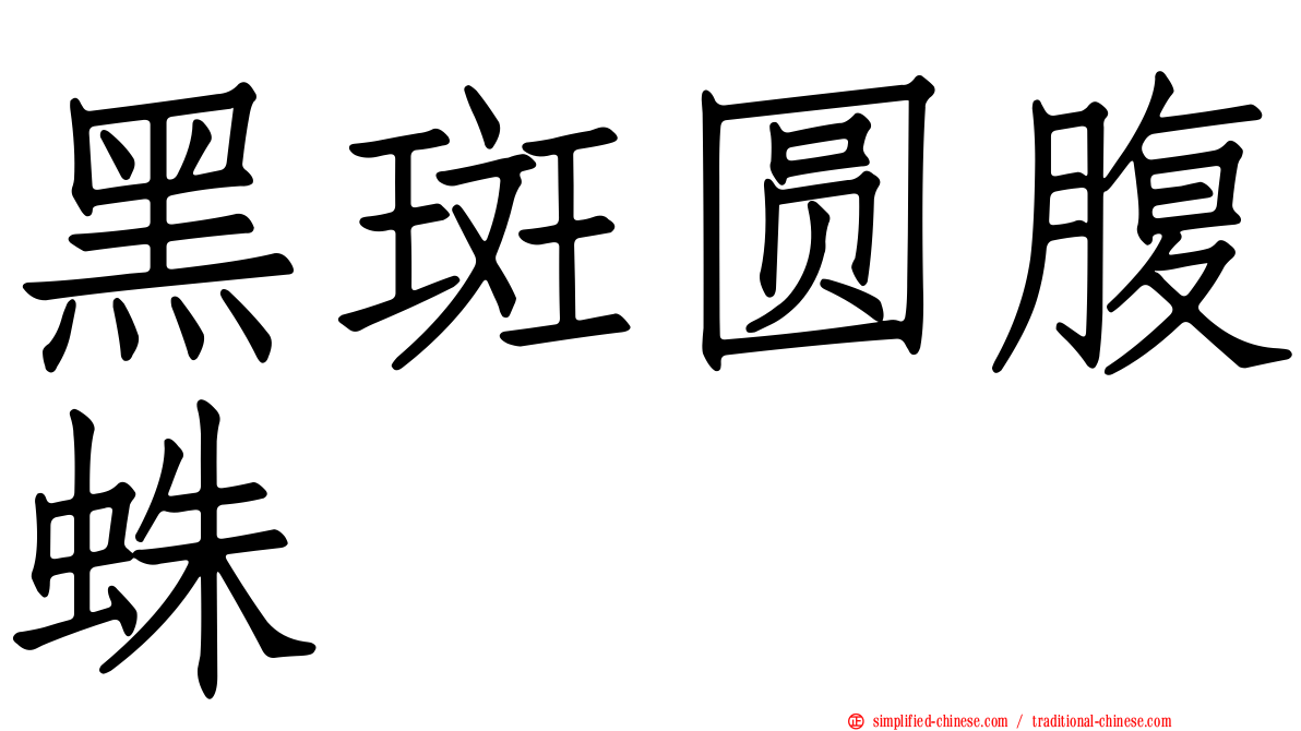 黑斑圆腹蛛