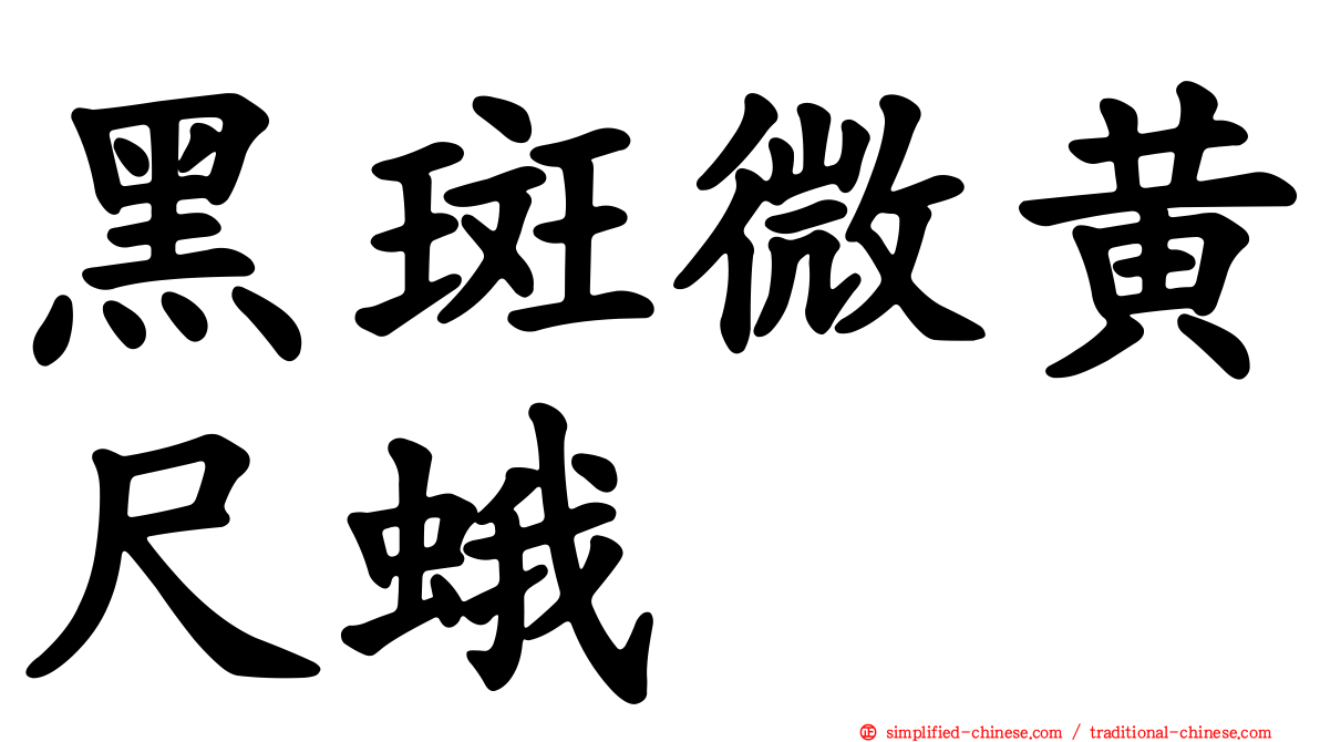 黑斑微黄尺蛾
