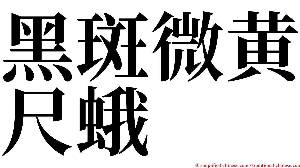黑斑微黄尺蛾 serif font