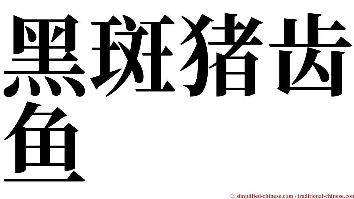 黑斑猪齿鱼 serif font