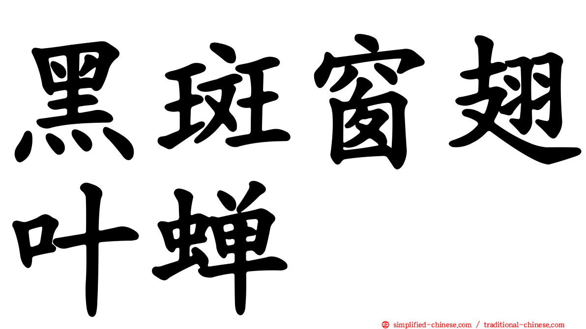 黑斑窗翅叶蝉