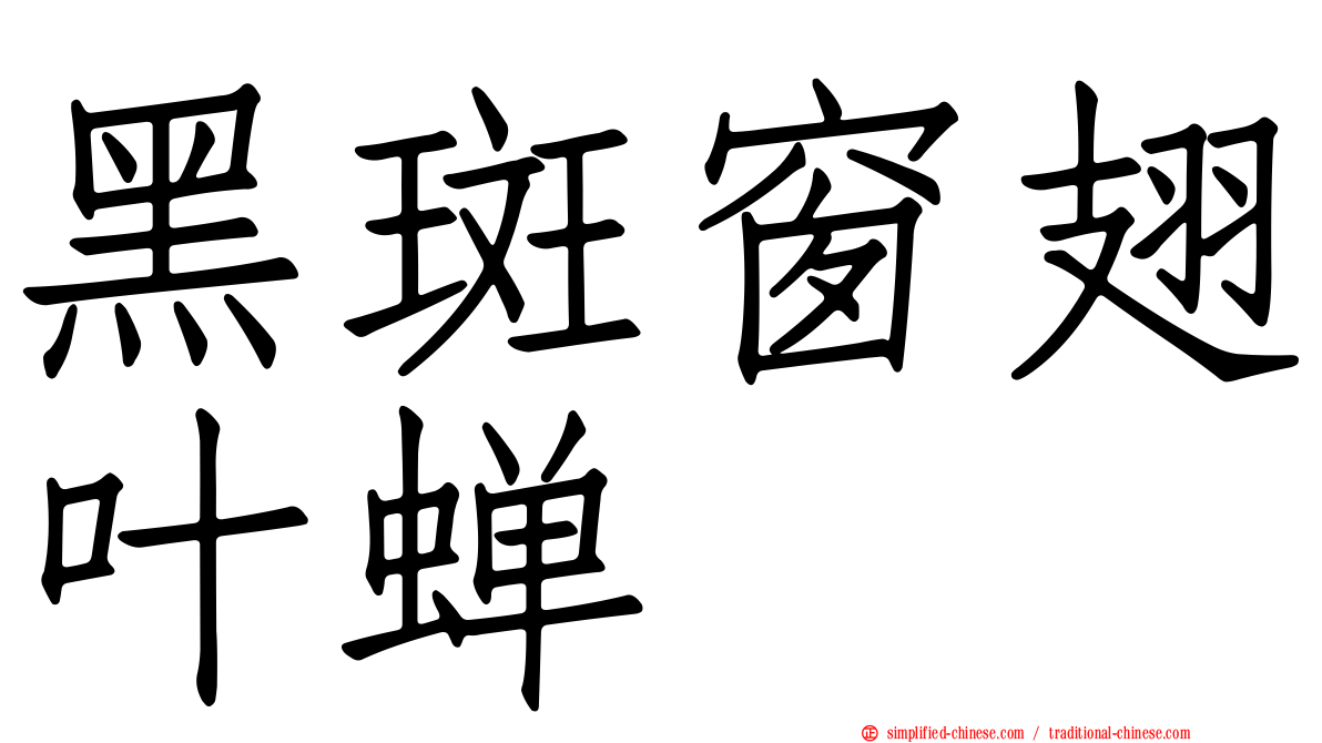 黑斑窗翅叶蝉