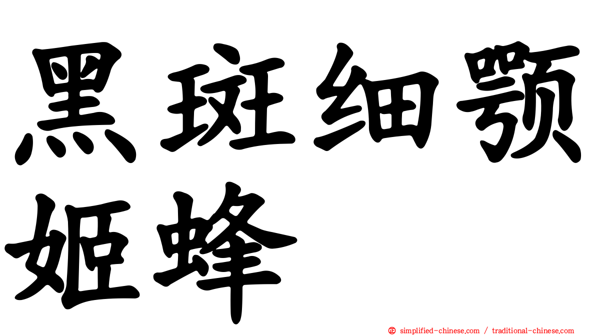 黑斑细颚姬蜂