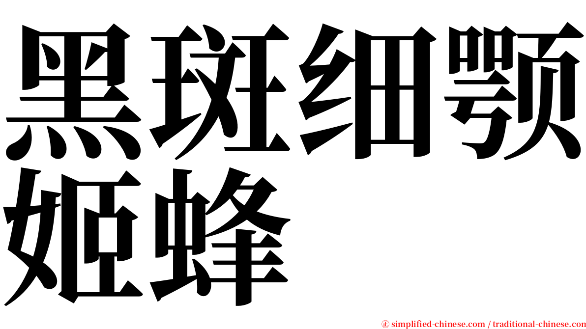 黑斑细颚姬蜂 serif font