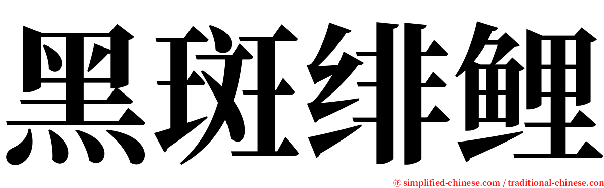 黑斑绯鲤 serif font