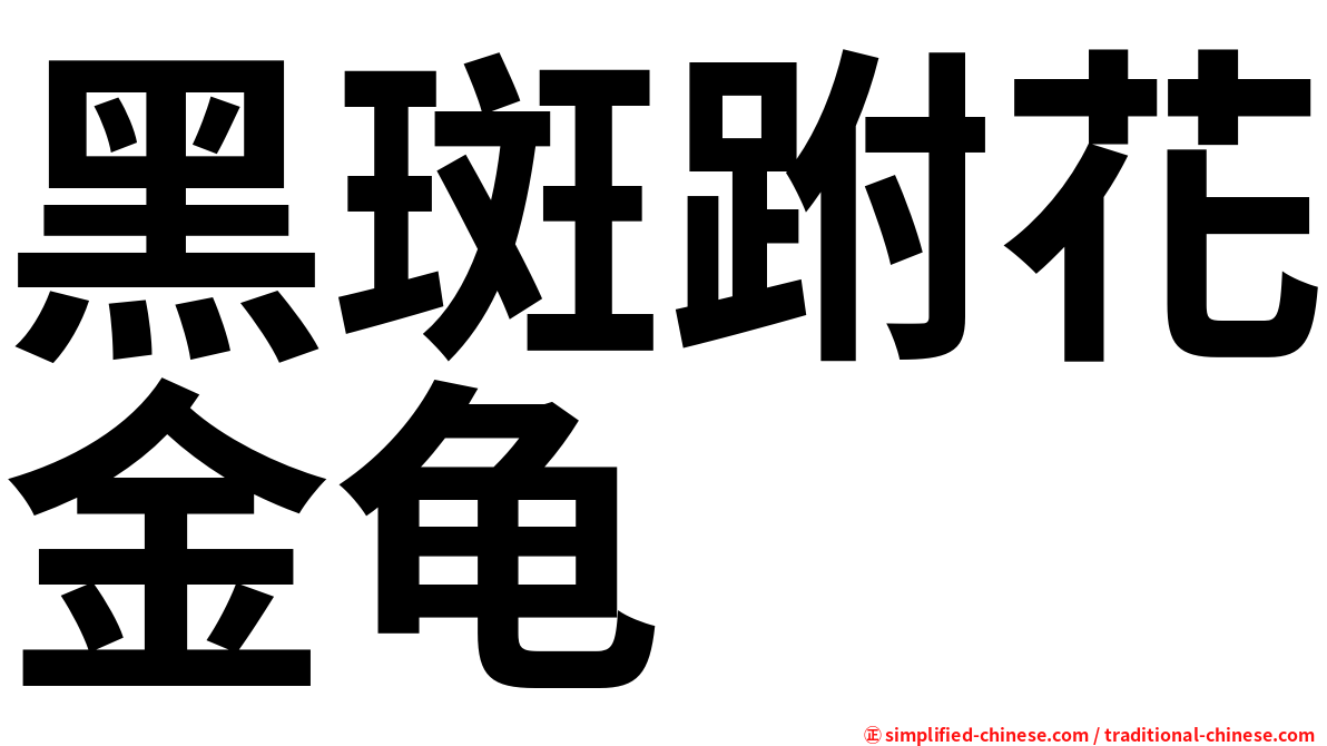 黑斑跗花金龟