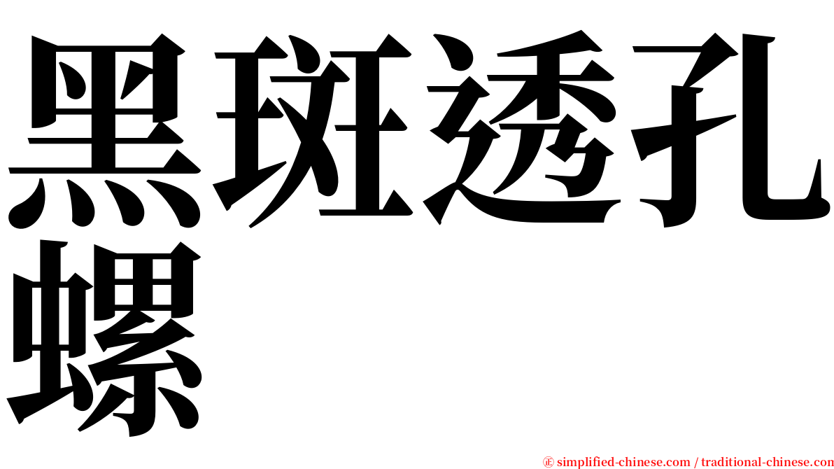 黑斑透孔螺 serif font