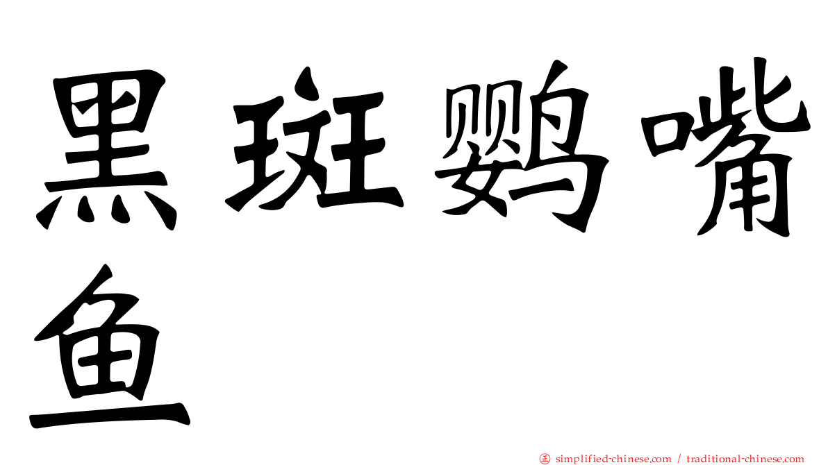 黑斑鹦嘴鱼