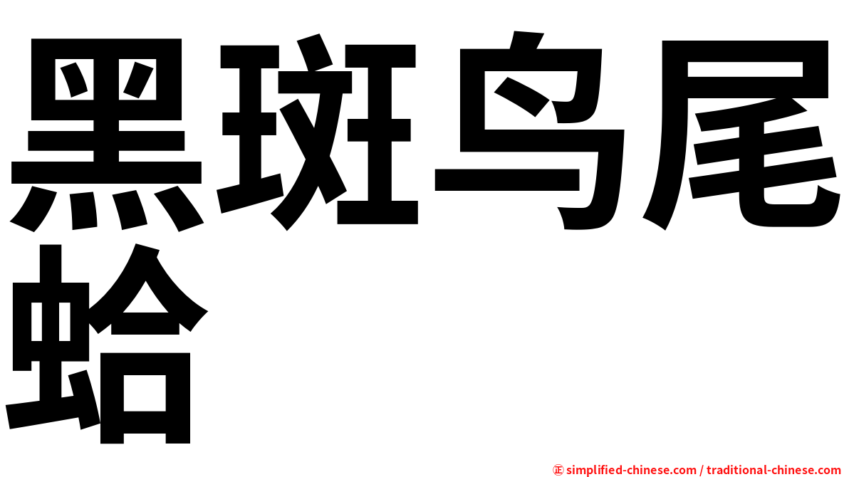 黑斑鸟尾蛤