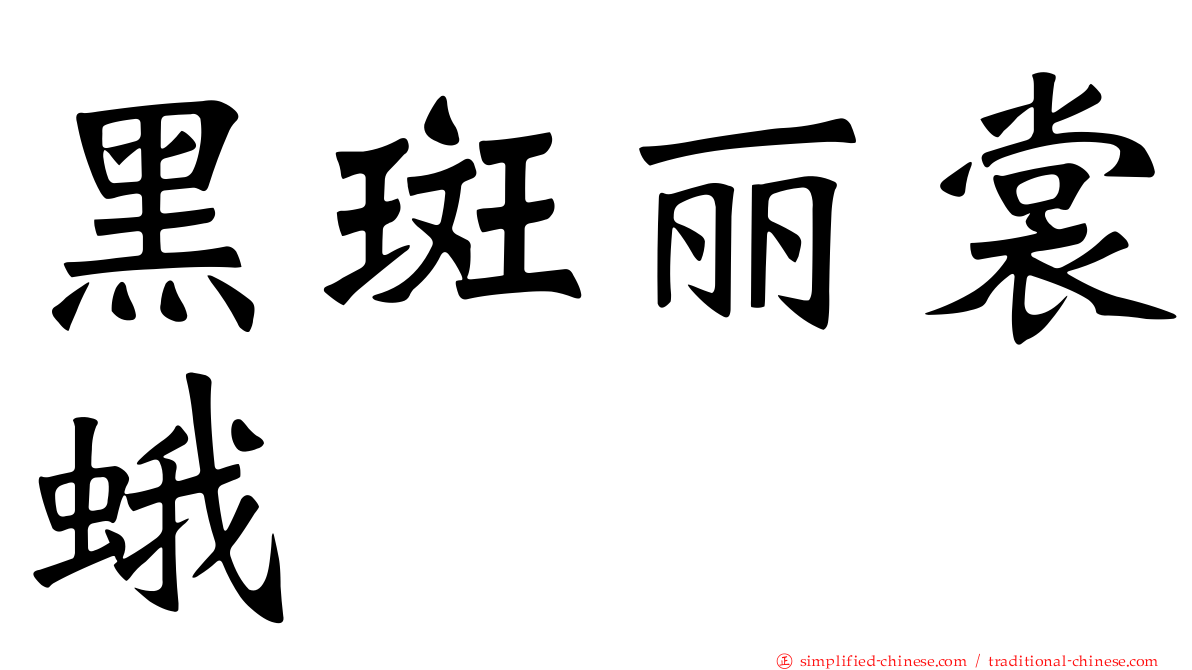 黑斑丽裳蛾