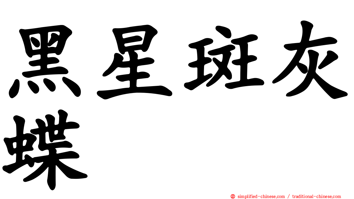 黑星斑灰蝶