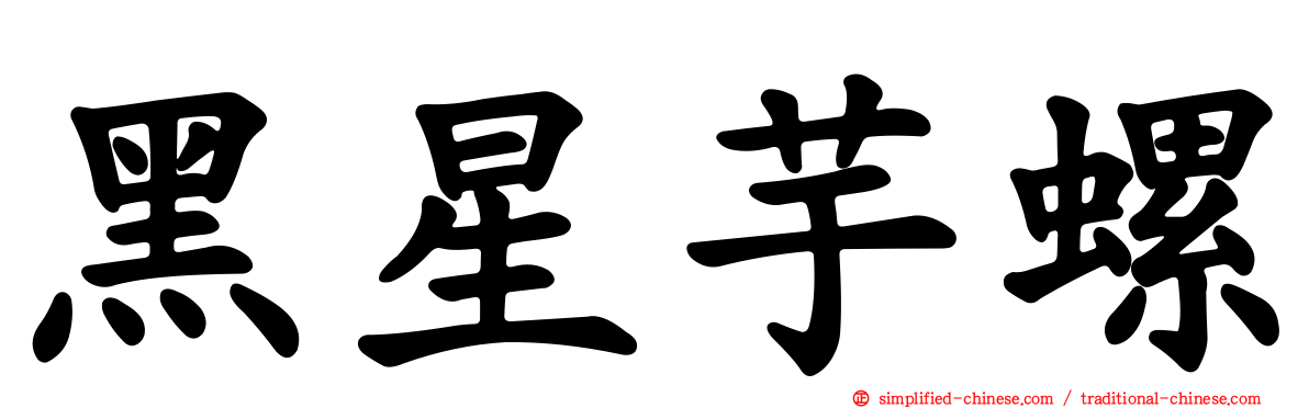 黑星芋螺