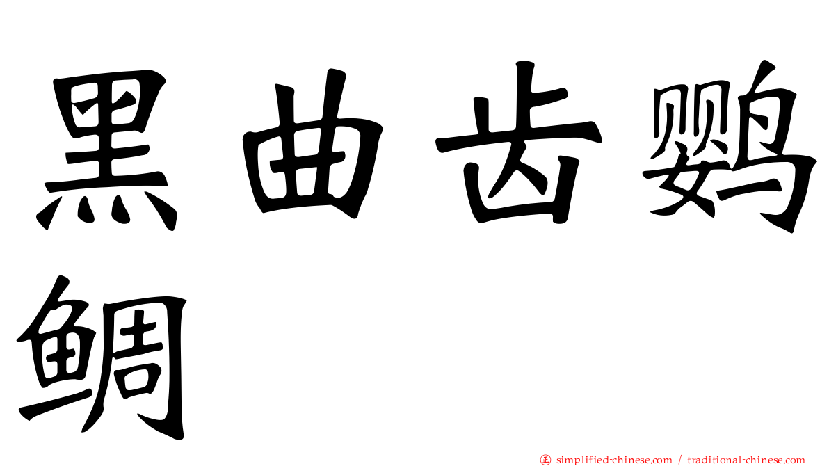 黑曲齿鹦鲷