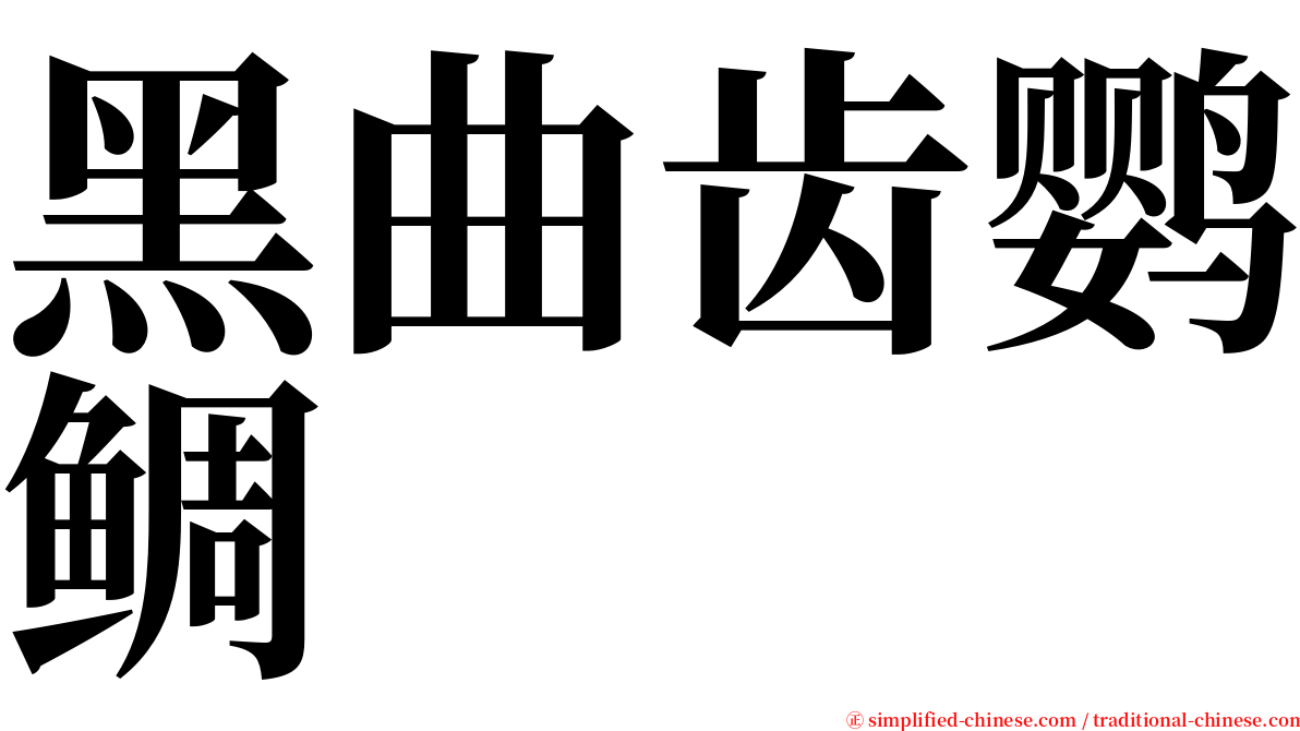黑曲齿鹦鲷 serif font