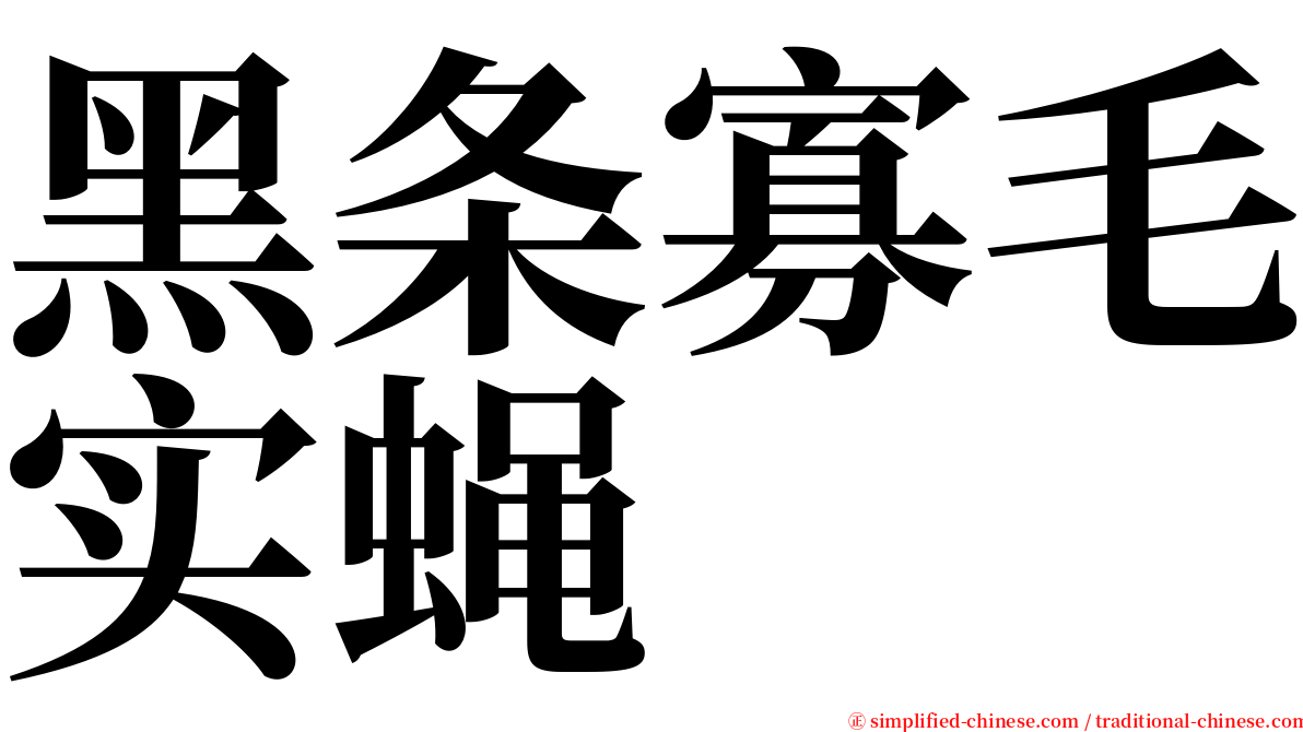 黑条寡毛实蝇 serif font