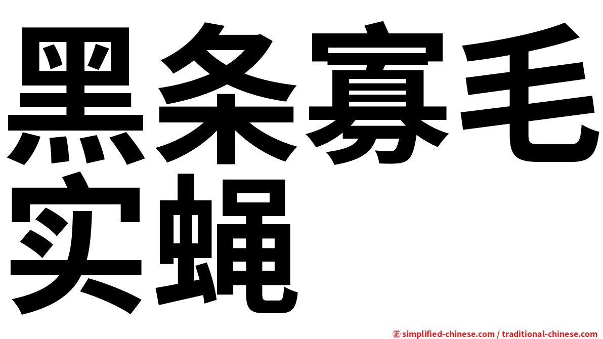 黑条寡毛实蝇