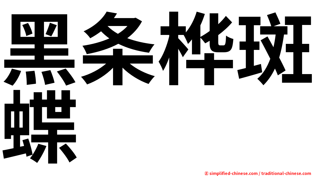 黑条桦斑蝶