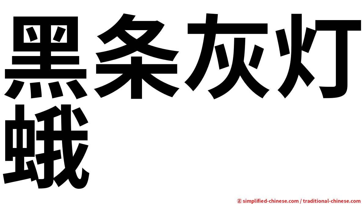 黑条灰灯蛾
