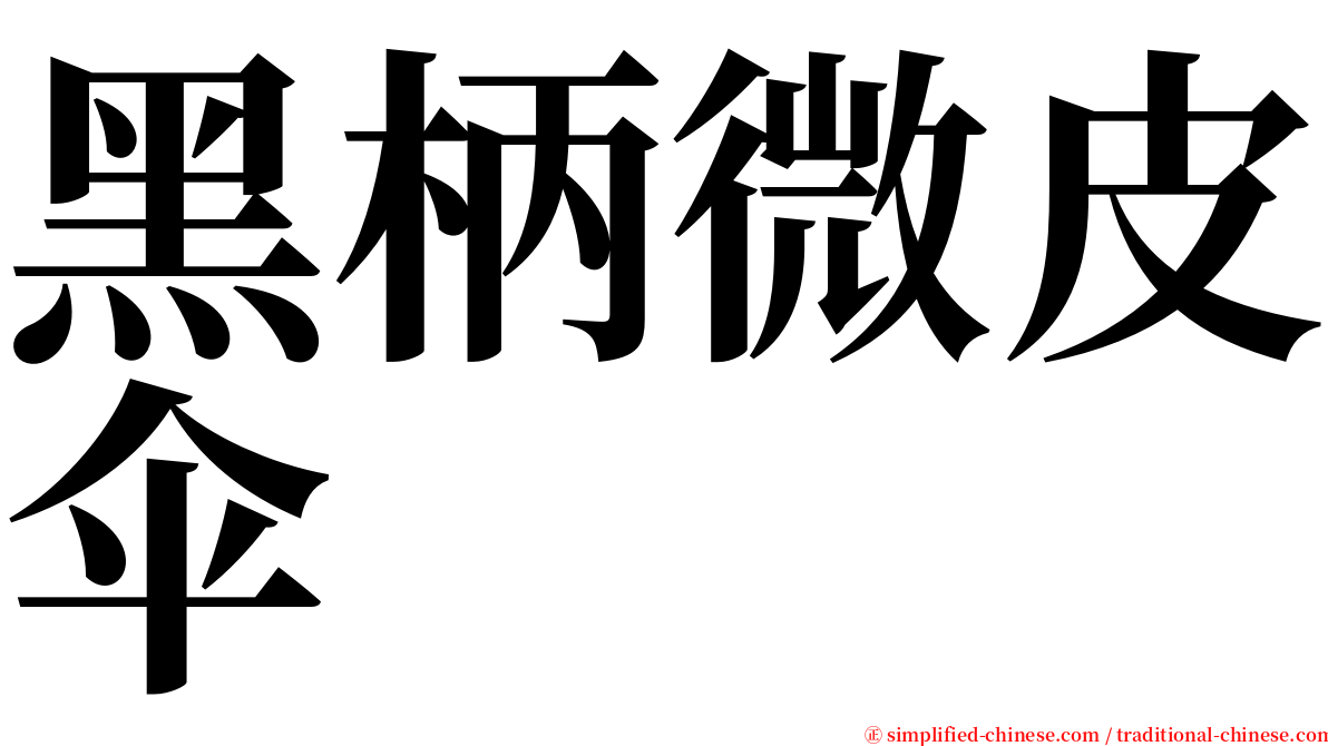 黑柄微皮伞 serif font