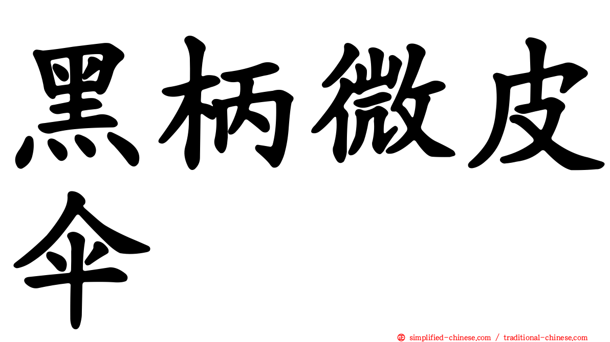黑柄微皮伞