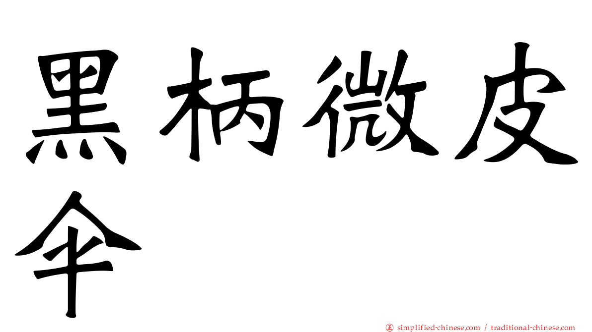 黑柄微皮伞