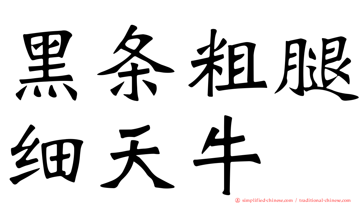黑条粗腿细天牛
