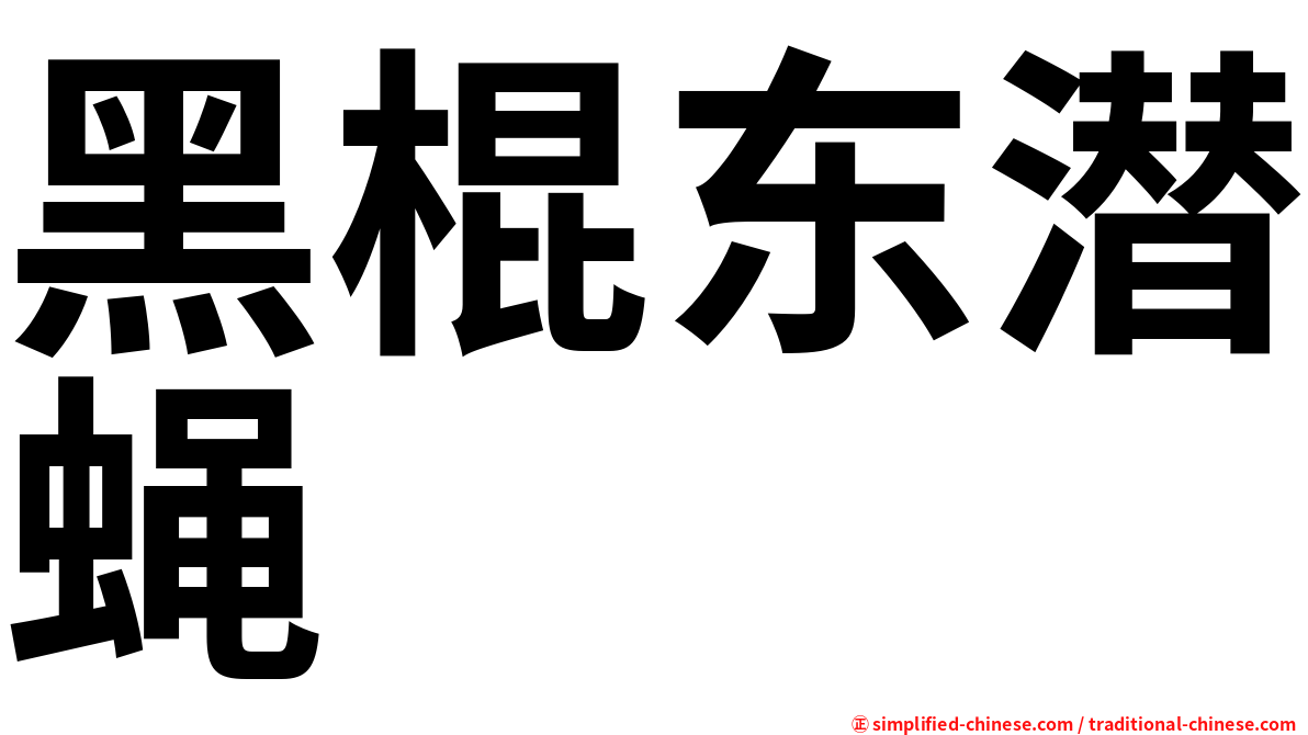 黑棍东潜蝇