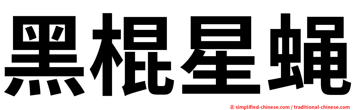 黑棍星蝇