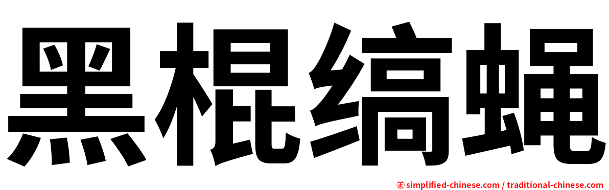 黑棍缟蝇