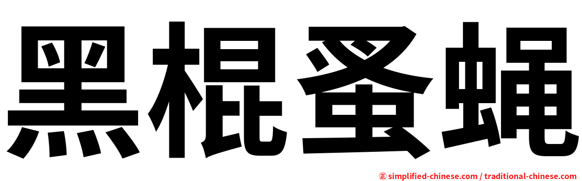 黑棍蚤蝇