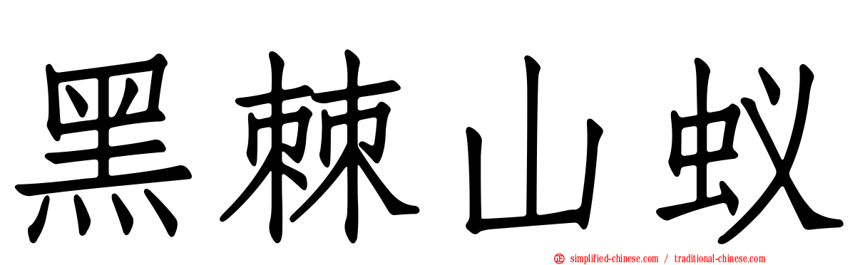 黑棘山蚁