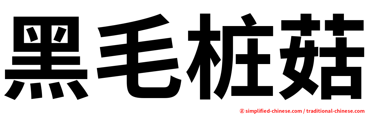 黑毛桩菇