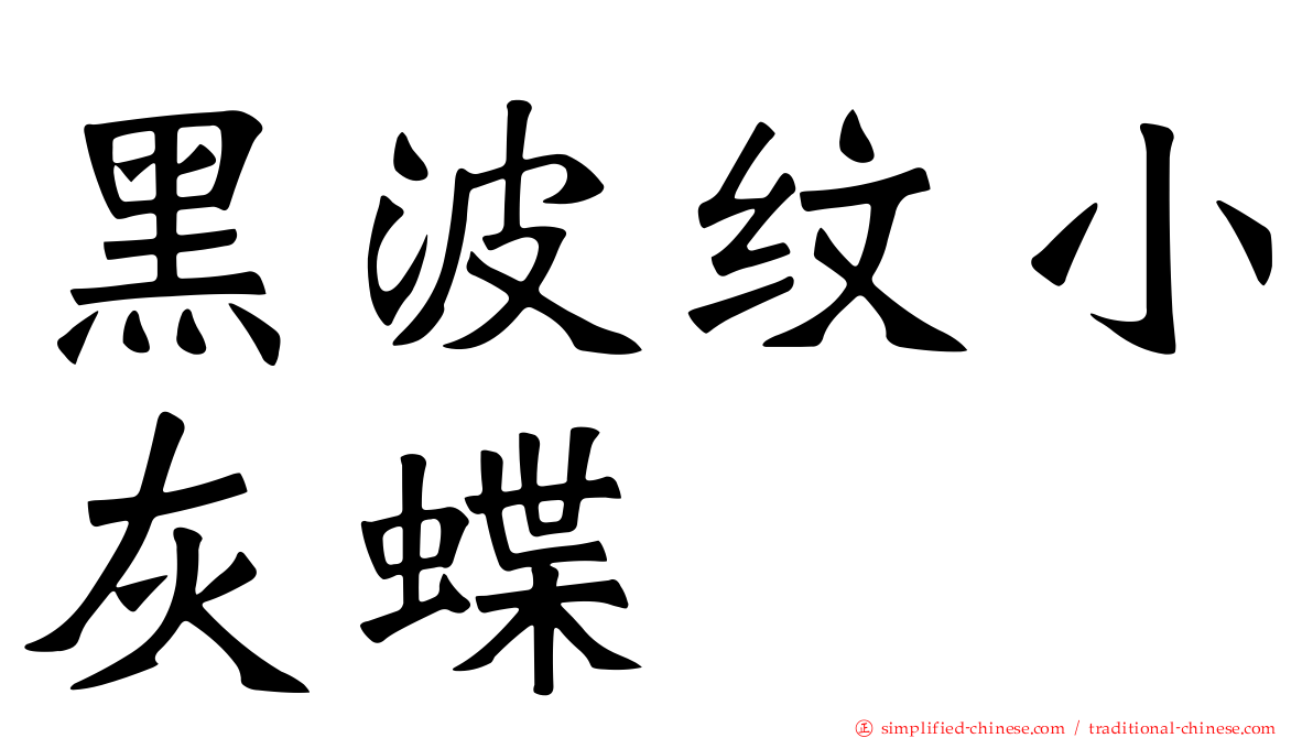 黑波纹小灰蝶