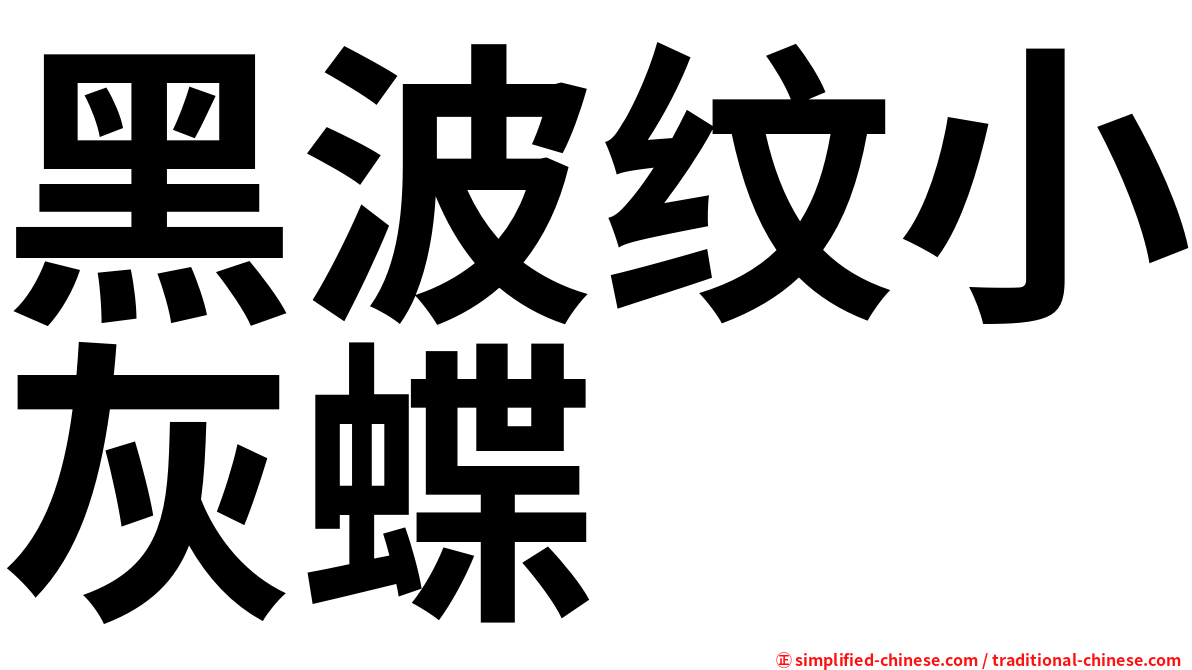 黑波纹小灰蝶