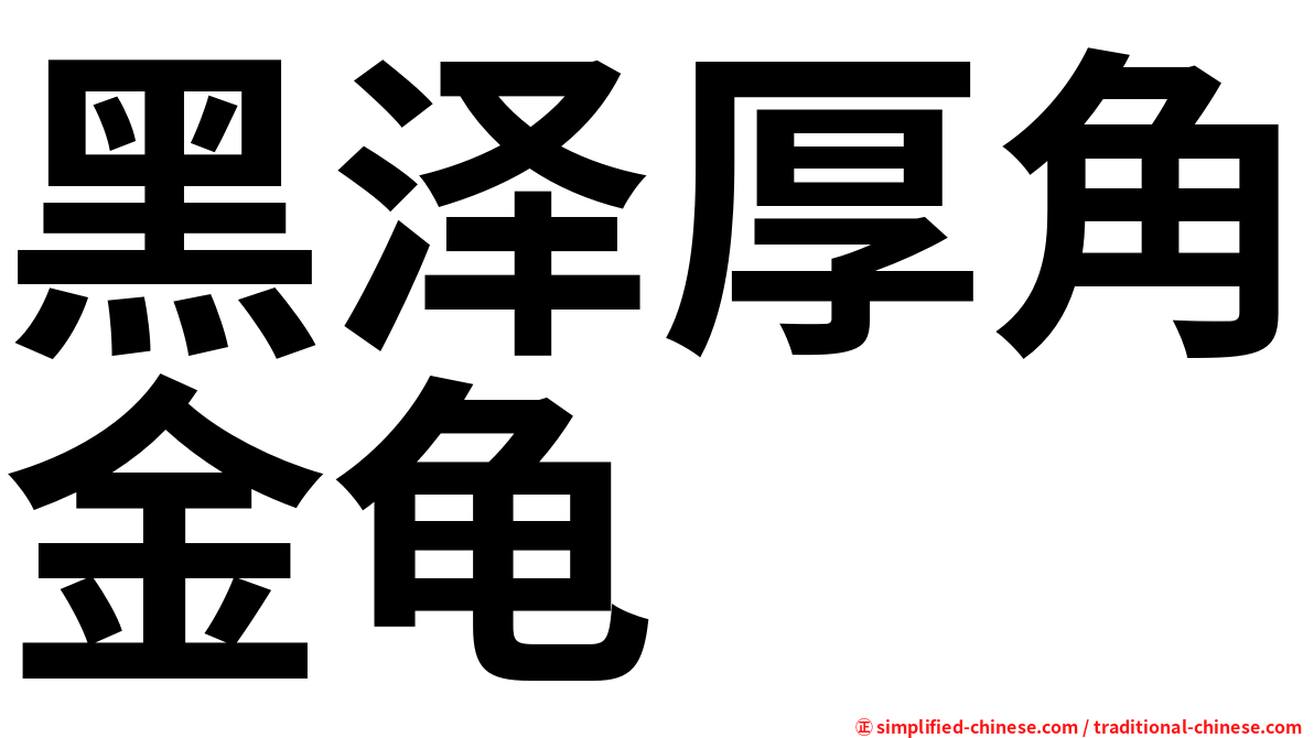 黑泽厚角金龟