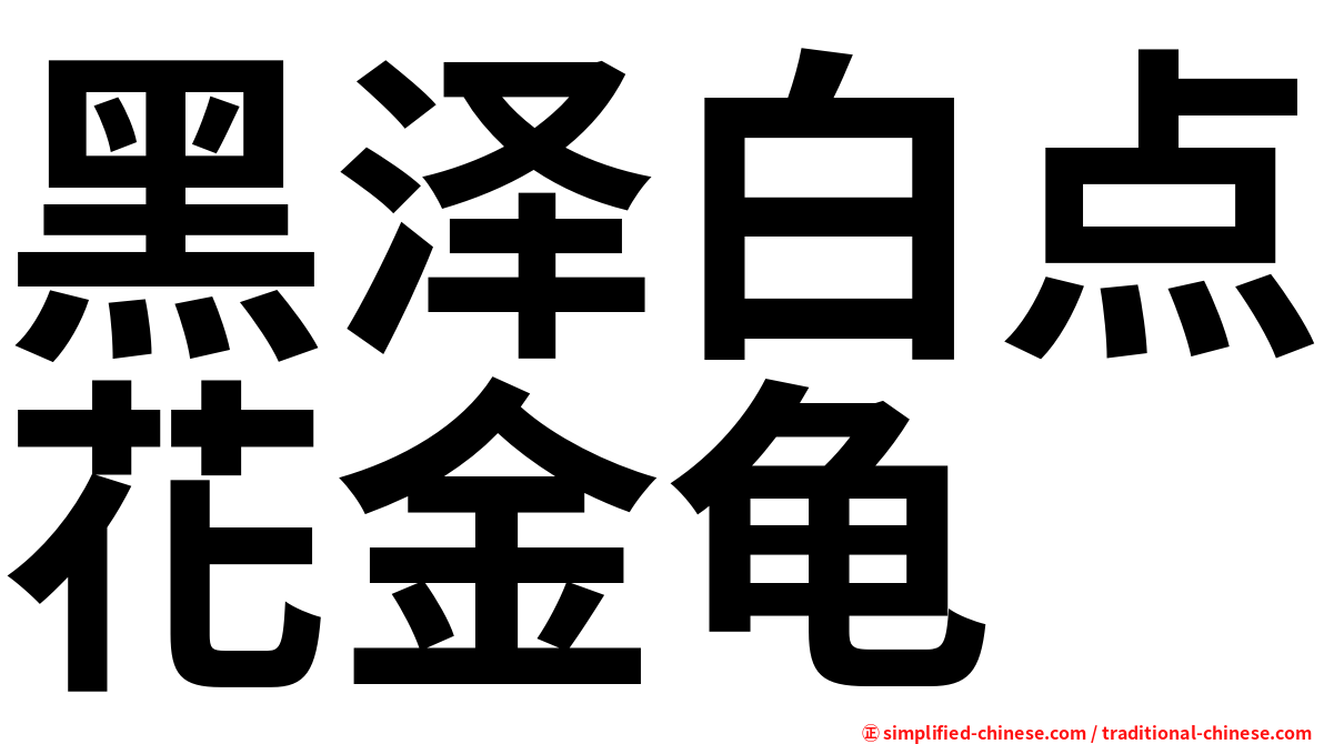 黑泽白点花金龟
