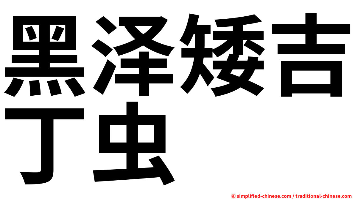 黑泽矮吉丁虫