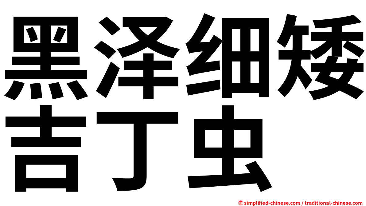 黑泽细矮吉丁虫