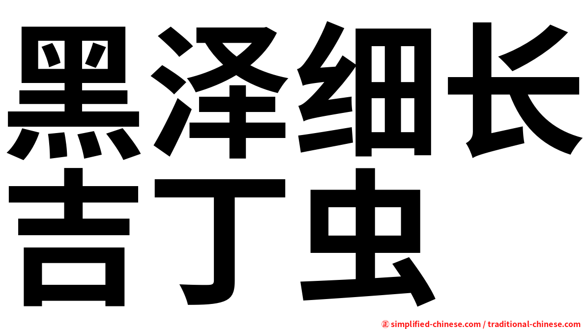 黑泽细长吉丁虫