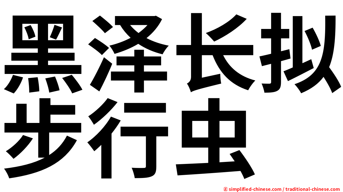 黑泽长拟步行虫