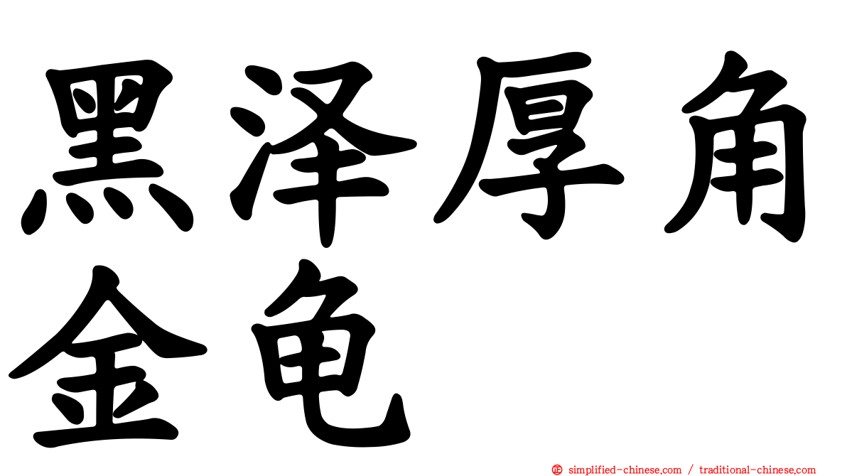 黑泽厚角金龟