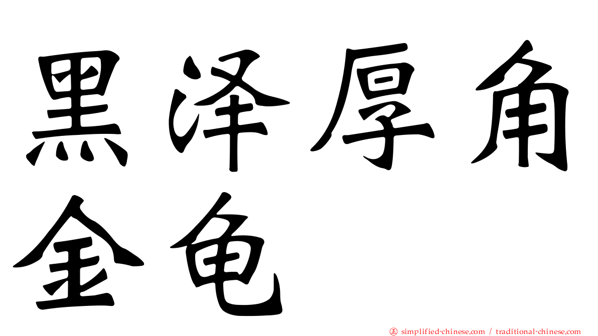 黑泽厚角金龟