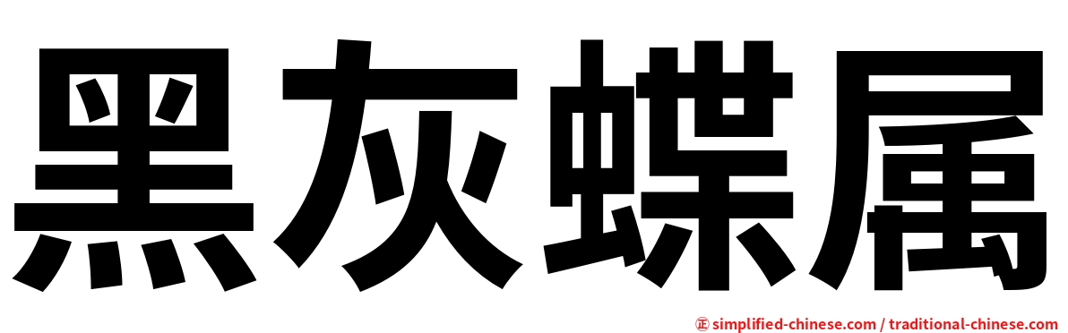 黑灰蝶属