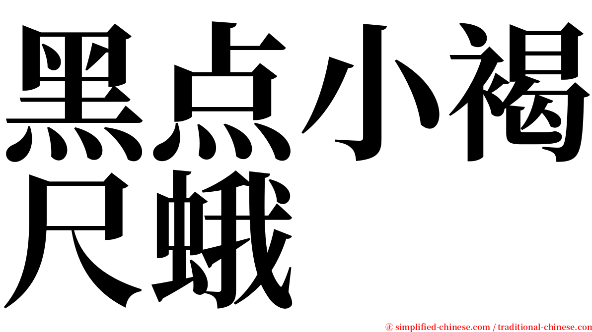 黑点小褐尺蛾 serif font