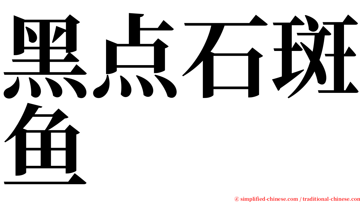 黑点石斑鱼 serif font