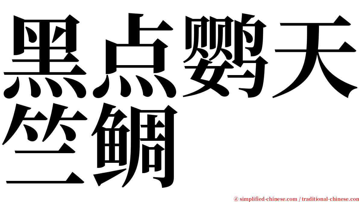 黑点鹦天竺鲷 serif font