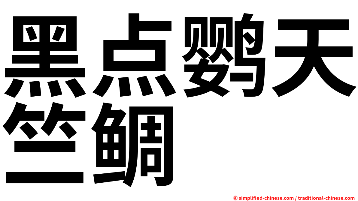 黑点鹦天竺鲷