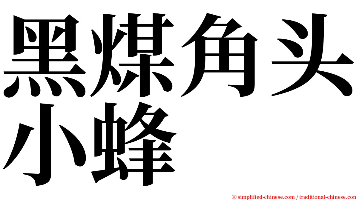 黑煤角头小蜂 serif font