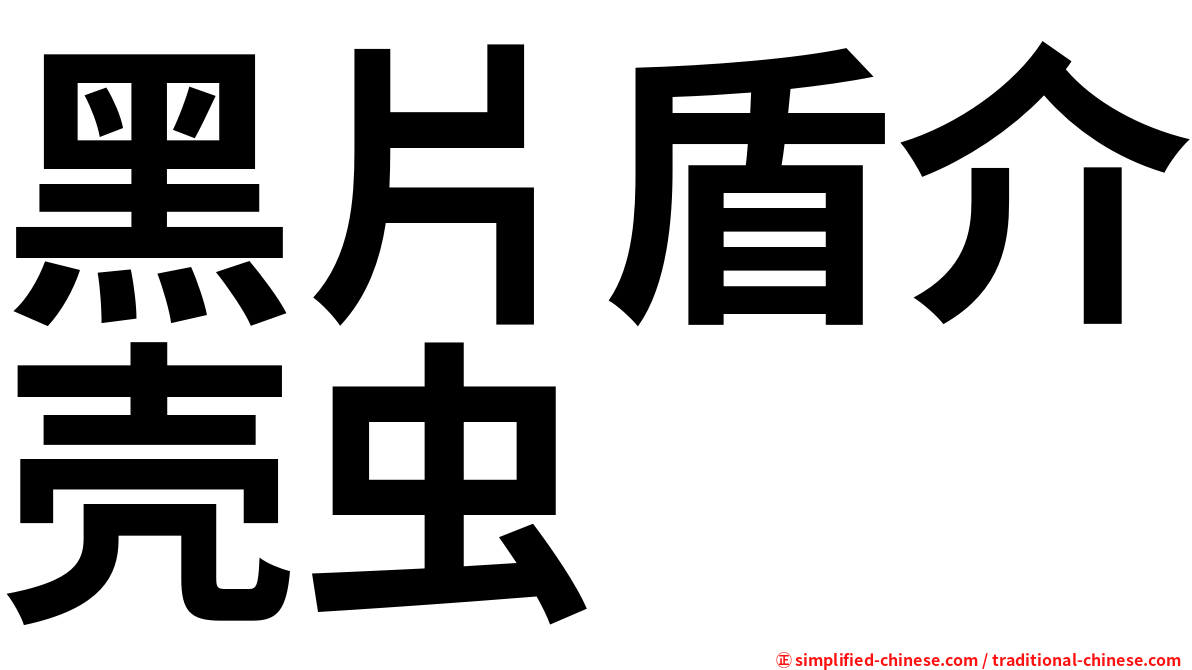 黑片盾介壳虫