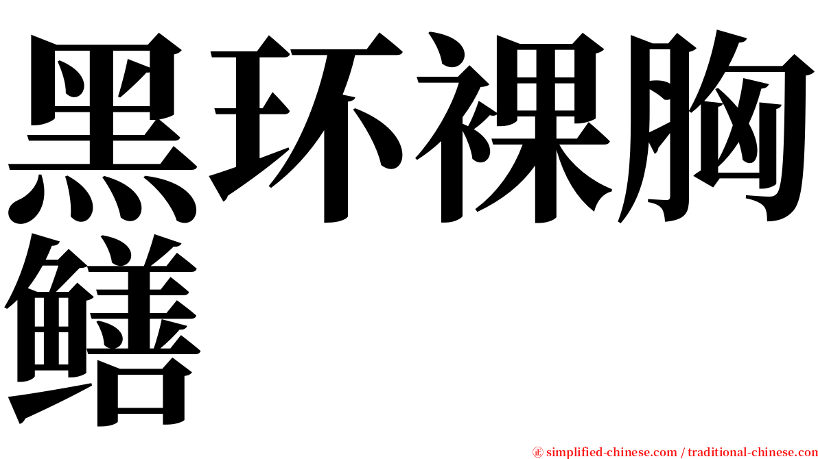 黑环裸胸鳝 serif font